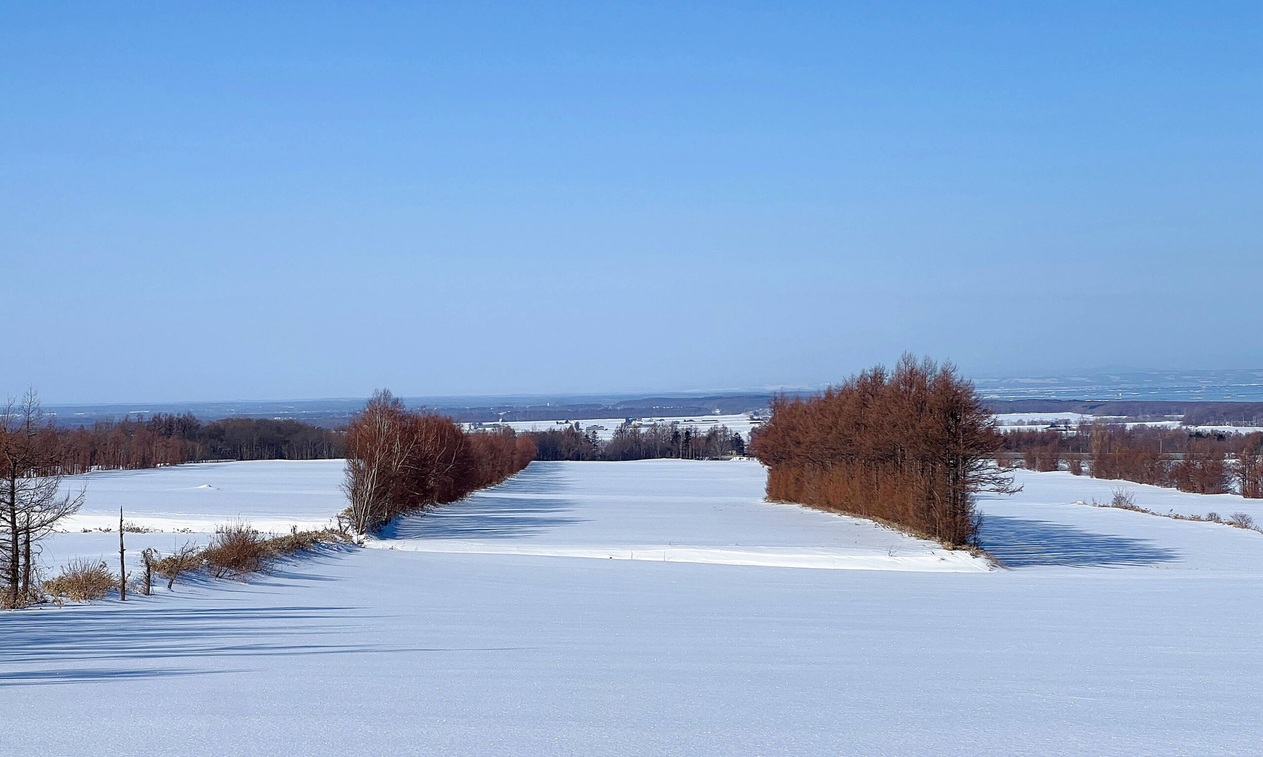 冬日白雪覆蓋的北海道大地，純淨、唯美、魔幻、還很歡樂！2025日本北海道札幌7日自由行賞雪攻略，另外推薦餐廳與周邊滑雪場順遊行程！ @。CJ夫人。