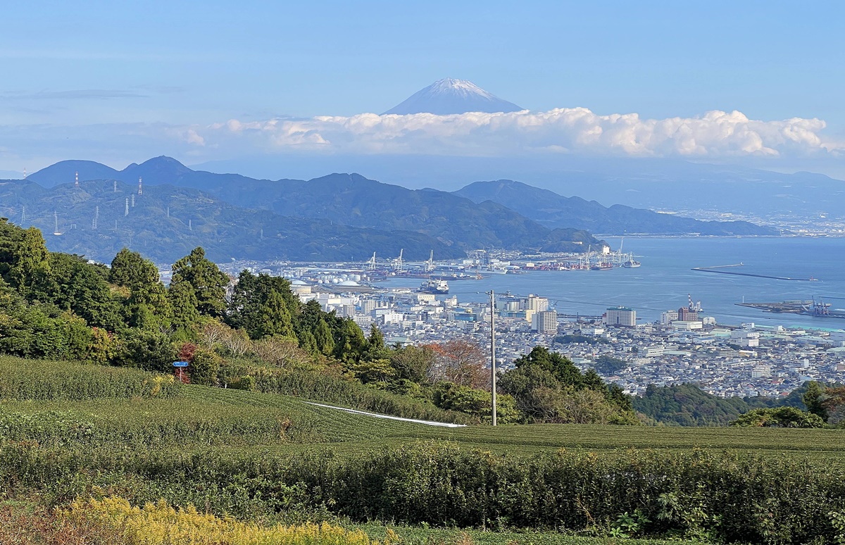 一個讓富士山與大海對話的城市，靜岡坐擁與海相伴的富士山日常風光！靜岡無料景點 日本平夢迴廊展望露台（日本平夢テラス） @。CJ夫人。