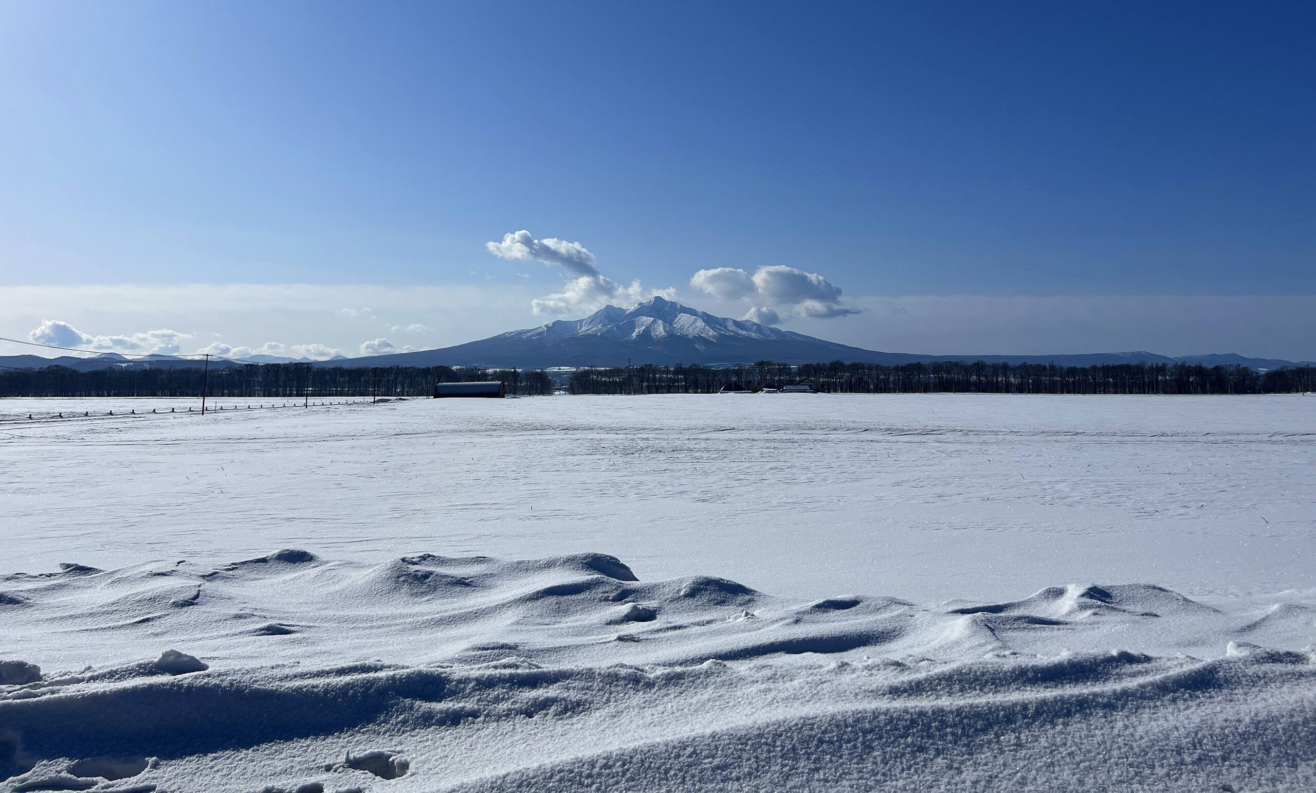 【KLOOK客路 X CJ夫人】2024-2025 日本北海道一日遊自由行：從札幌出發的賞雪一日遊，單人報名也OK，最新上線推薦總整理 @。CJ夫人。