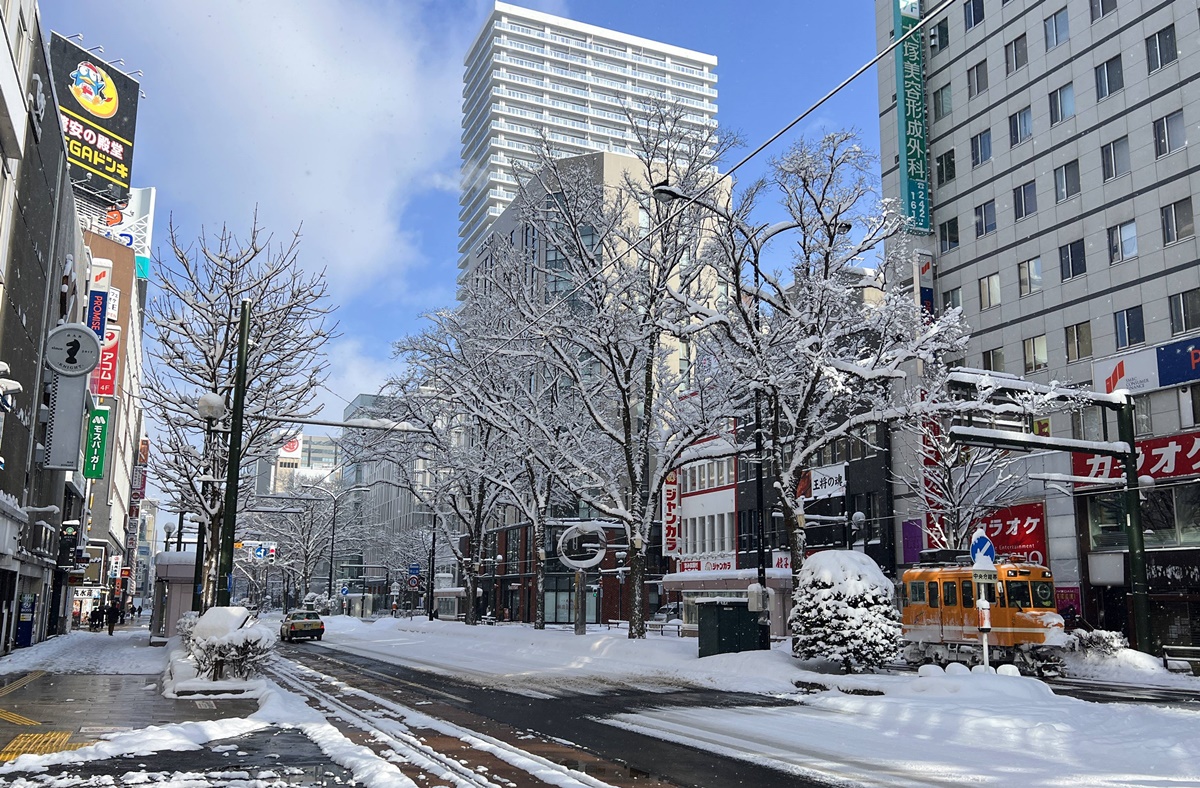 因雪而繁盛！札幌是一座屬於白色童話的北國城市，北海道自助旅行千萬別錯過日本冬日最美公園、大學、神宮、展望台、動物園！ @。CJ夫人。