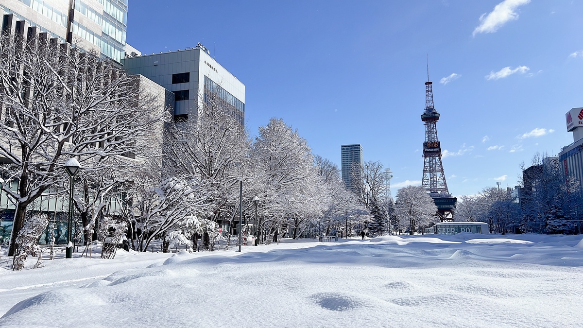 冬日白雪覆蓋的北海道大地，純淨、唯美、魔幻、還很歡樂！2025日本北海道札幌7日自由行賞雪攻略，另外推薦餐廳與周邊滑雪場順遊行程！ @。CJ夫人。