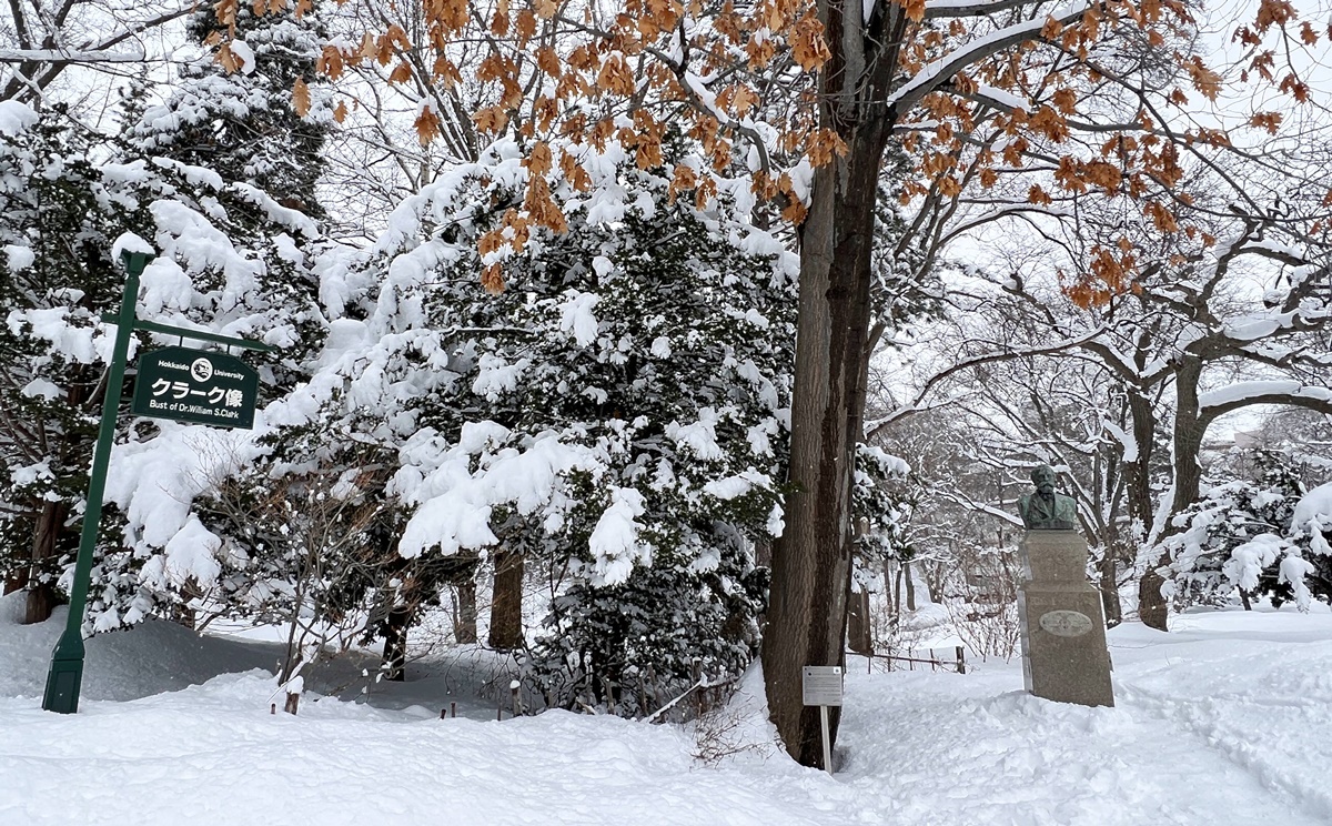 因雪而繁盛！札幌是一座屬於白色童話的北國城市，北海道自助旅行千萬別錯過日本冬日最美公園、大學、神宮、展望台、動物園！ @。CJ夫人。