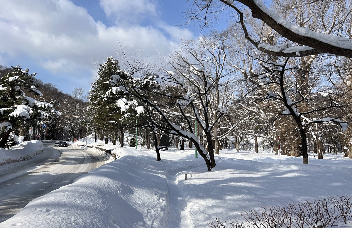 冬日白雪覆蓋的北海道大地，純淨、唯美、魔幻、還很歡樂！2025日本北海道札幌7日自由行賞雪攻略，另外推薦餐廳與周邊滑雪場順遊行程！ @。CJ夫人。