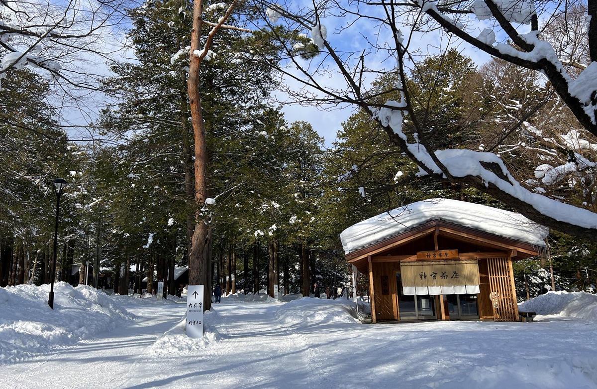 因雪而繁盛！札幌是一座屬於白色童話的北國城市，北海道自助旅行千萬別錯過日本冬日最美公園、大學、神宮、展望台、動物園！ @。CJ夫人。