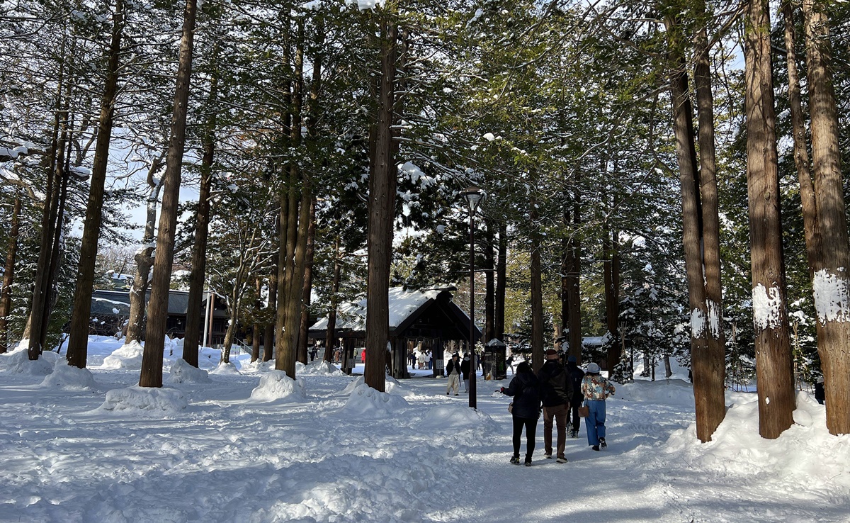 因雪而繁盛！札幌是一座屬於白色童話的北國城市，北海道自助旅行千萬別錯過日本冬日最美公園、大學、神宮、展望台、動物園！ @。CJ夫人。