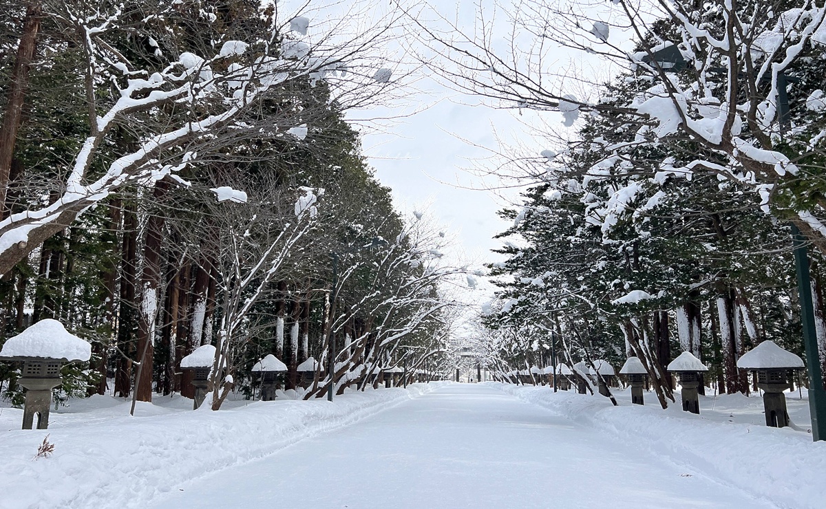 冬日白雪覆蓋的北海道大地，純淨、唯美、魔幻、還很歡樂！2025日本北海道札幌7日自由行賞雪攻略，另外推薦餐廳與周邊滑雪場順遊行程！ @。CJ夫人。