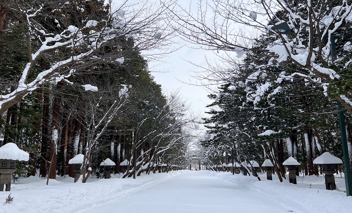 因雪而繁盛！札幌是一座屬於白色童話的北國城市，北海道自助旅行千萬別錯過日本冬日最美公園、大學、神宮、展望台、動物園！ @。CJ夫人。