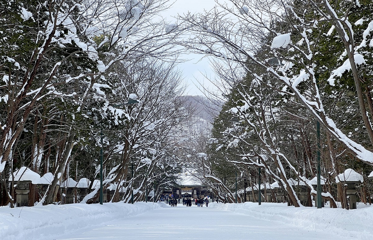 因雪而繁盛！札幌是一座屬於白色童話的北國城市，北海道自助旅行千萬別錯過日本冬日最美公園、大學、神宮、展望台、動物園！ @。CJ夫人。