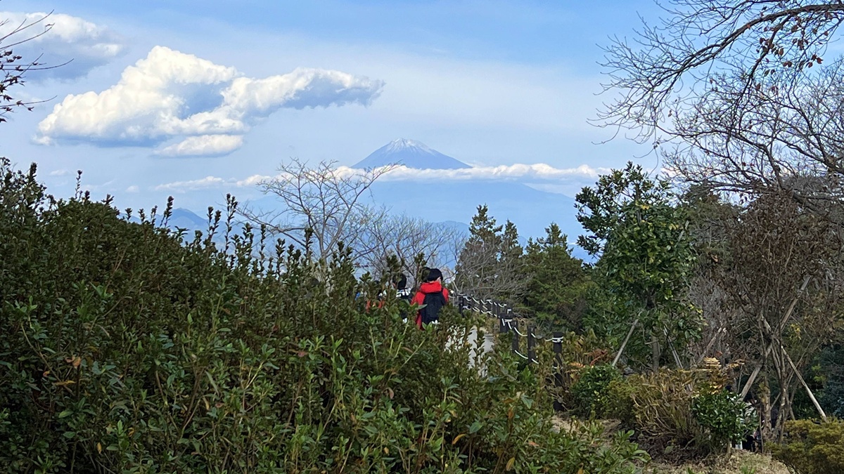 一個讓富士山與大海對話的城市，靜岡坐擁與海相伴的富士山日常風光！靜岡無料景點 日本平夢迴廊展望露台（日本平夢テラス） @。CJ夫人。