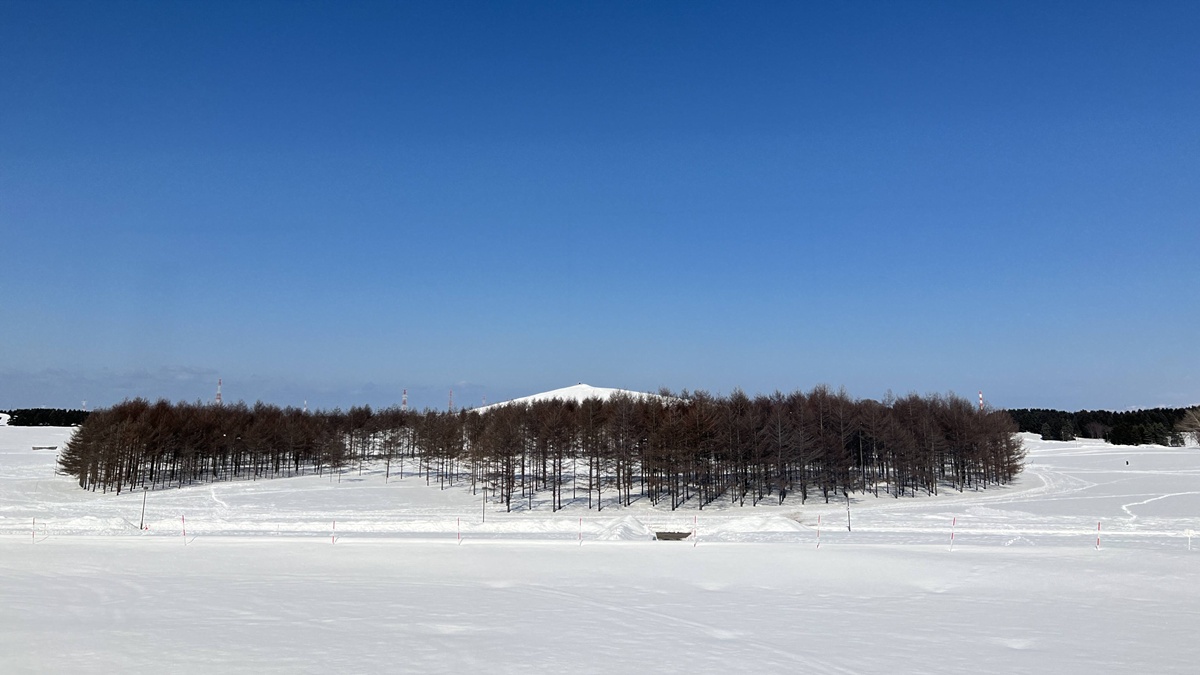 冬日白雪覆蓋的北海道大地，純淨、唯美、魔幻、還很歡樂！2025日本北海道札幌7日自由行賞雪攻略，另外推薦餐廳與周邊滑雪場順遊行程！ @。CJ夫人。