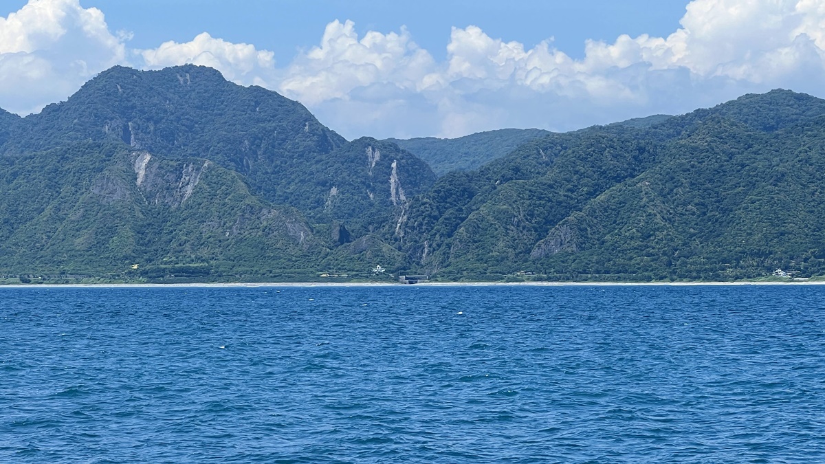 前進飛旋海豚的世界！邂逅一群充滿活力的海洋一族，花蓮港黑潮海域賞鯨豚半日遊｜花蓮觀光郵輪多羅滿賞鯨船 @。CJ夫人。