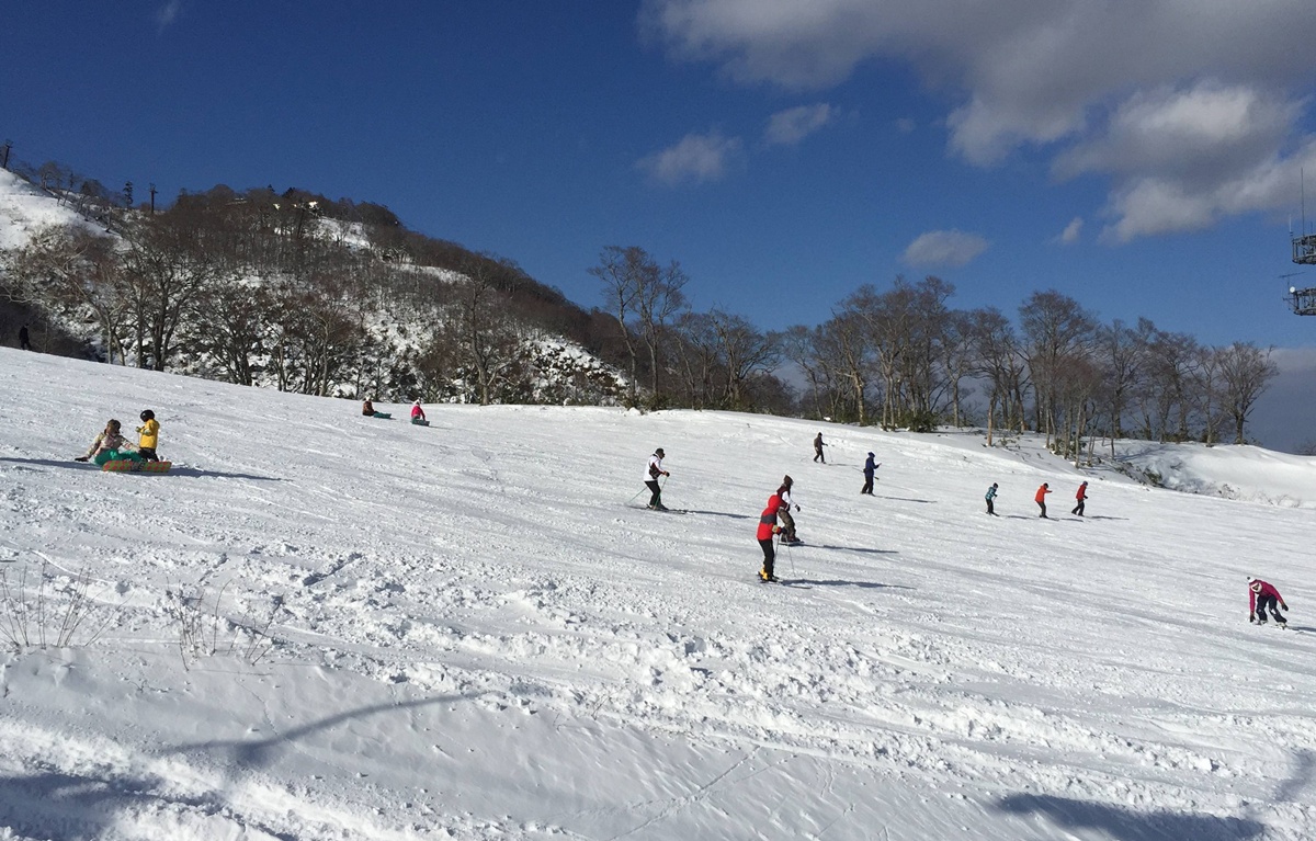 規劃一趟日本自助滑雪應該注意的事－第一次去滑雪適合挑選哪種滑雪場或滑雪道呢？ @。CJ夫人。