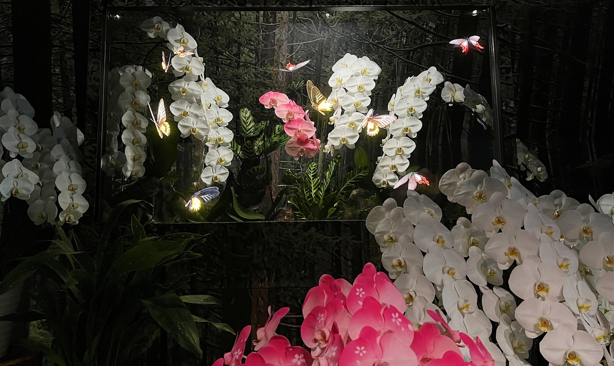 2025大阪世界博覽會推薦必看展館：台灣館 Tech World！以山之名的科技島嶼，一座將自然與科技多元融合的地方 @。CJ夫人。