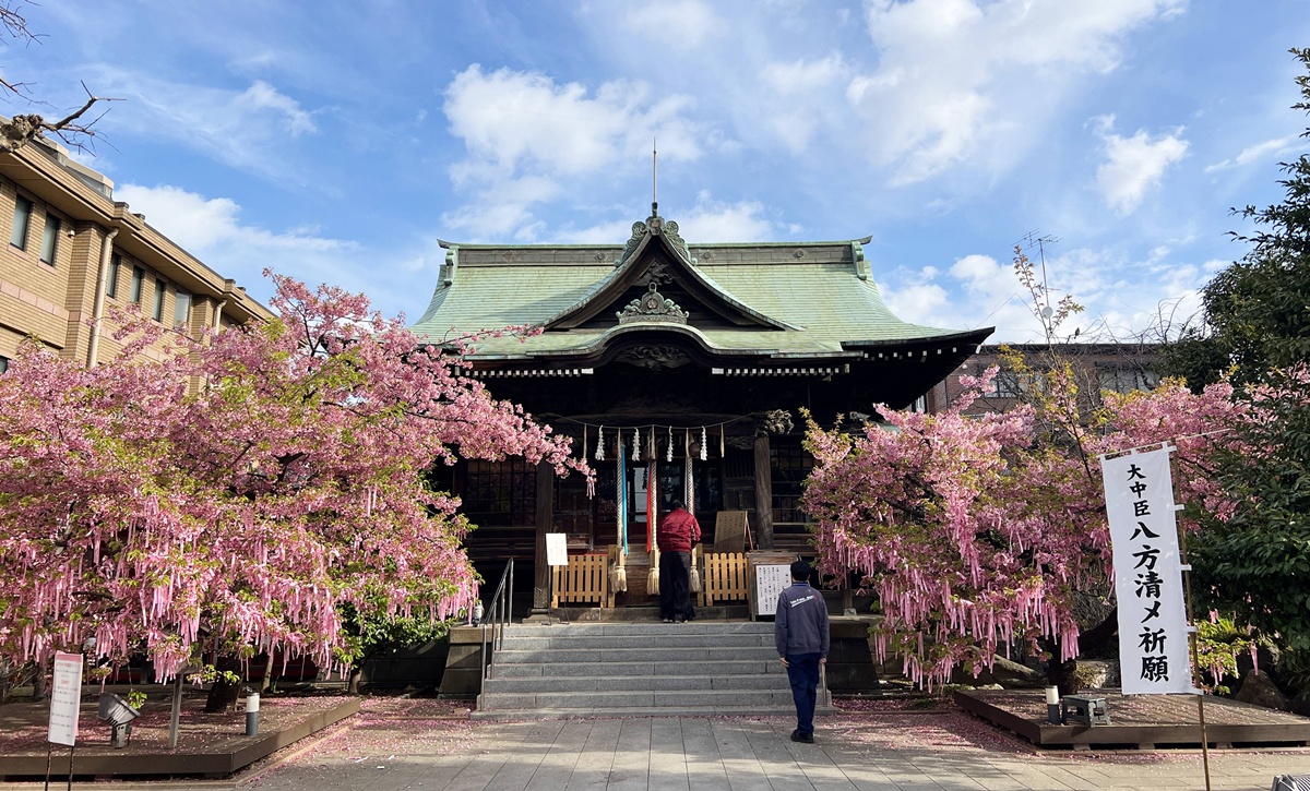以櫻花為主題！供奉櫻花女神、古櫻樹還有三月櫻花季限定御朱印與粉色蕾絲御守｜東京世田谷區的櫻神宮（桜神宮） @。CJ夫人。