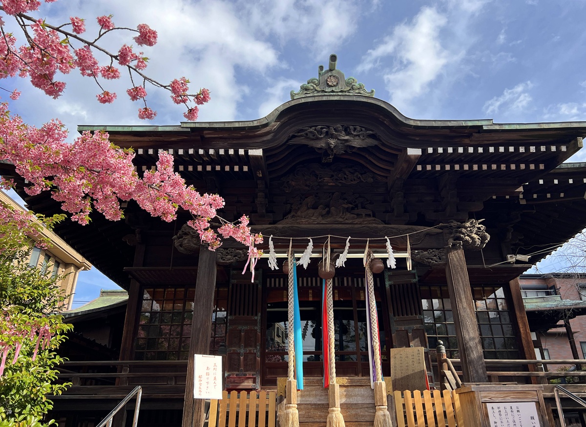 以櫻花為主題!供奉櫻花女神、古櫻樹還有三月櫻花季限定御朱印與粉色蕾絲御守|東京世田谷區的櫻神宮(桜神宮) @。CJ夫人。 以櫻花為主題!供奉櫻花女神、古櫻樹還有三月櫻花季限定御朱印與粉色蕾絲御守|東京世田谷區的櫻神宮(桜神宮) @。CJ夫人。