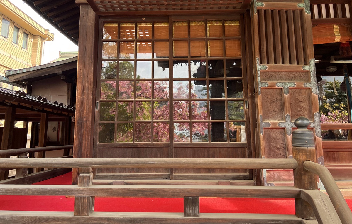 以櫻花為主題!供奉櫻花女神、古櫻樹還有三月櫻花季限定御朱印與粉色蕾絲御守|東京世田谷區的櫻神宮(桜神宮) @。CJ夫人。 以櫻花為主題!供奉櫻花女神、古櫻樹還有三月櫻花季限定御朱印與粉色蕾絲御守|東京世田谷區的櫻神宮(桜神宮) @。CJ夫人。