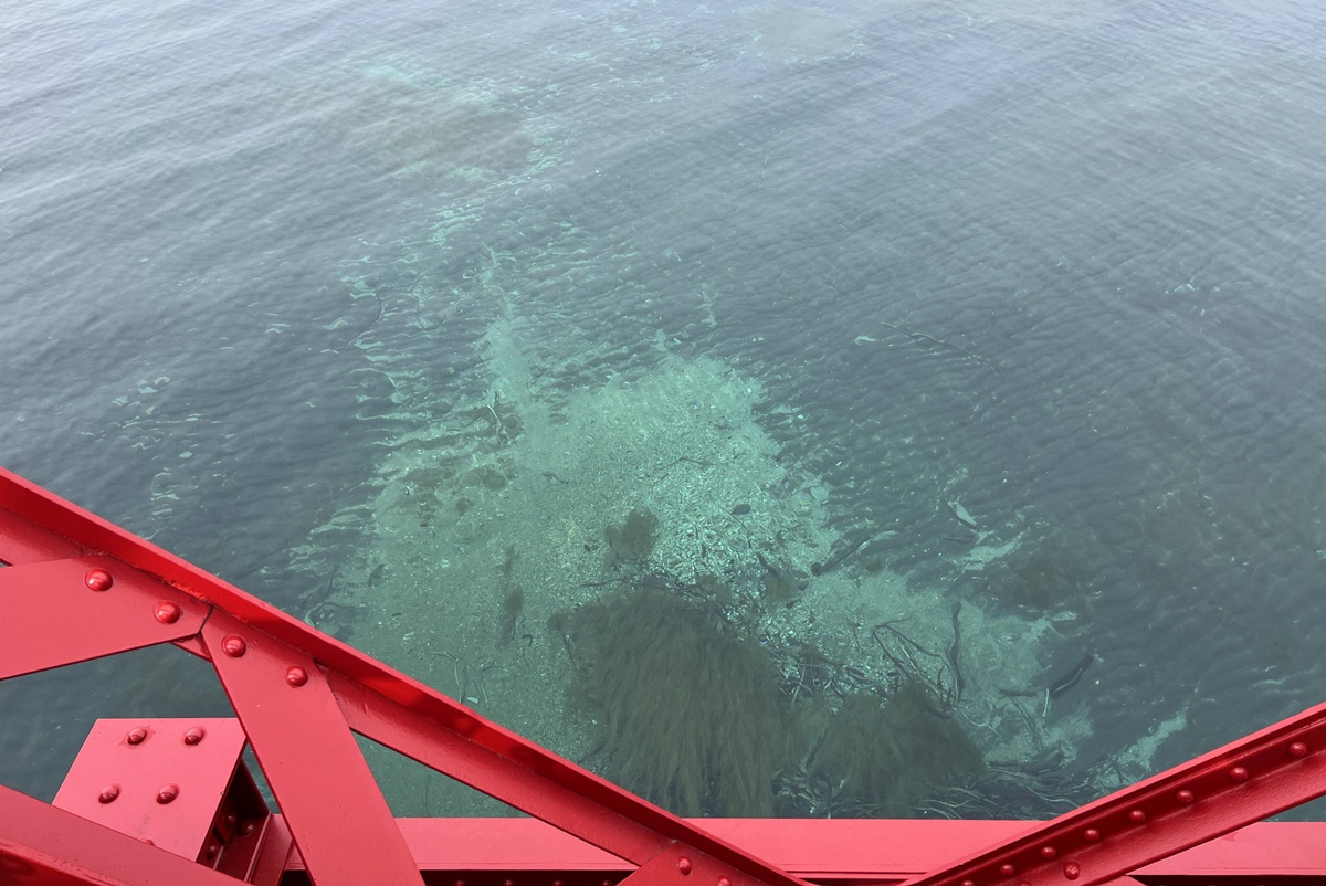 北海道最安靜的冬日一隅，靜得都能聽見冰濤融化的聲音。冬季日本北海道支笏湖一日遊行程安排，僅獻給喜愛小眾漫遊的旅行者。 @。CJ夫人。