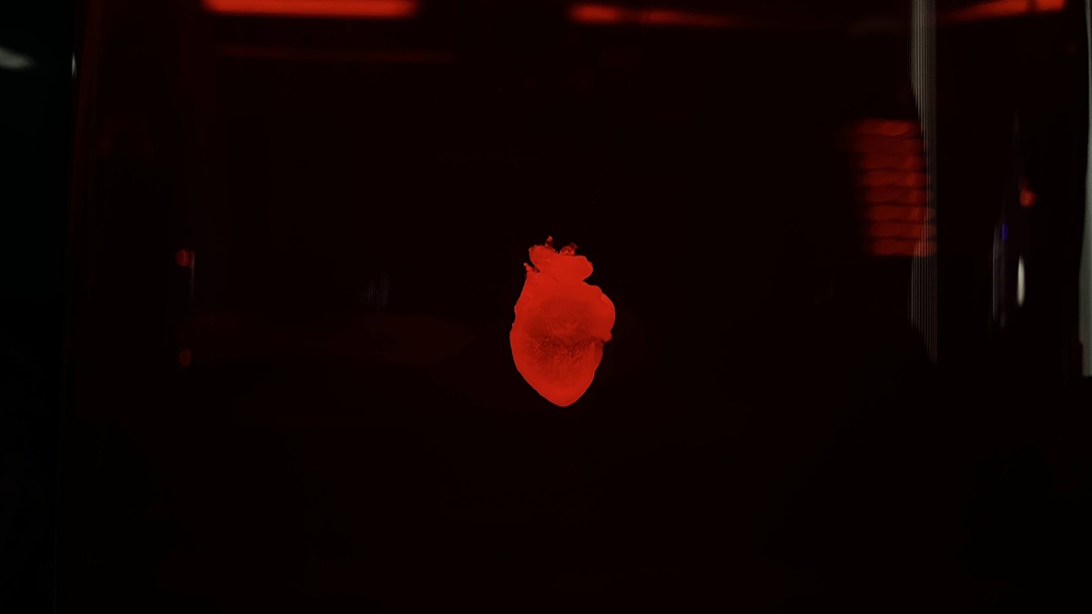 2025大阪世界博覽會推薦必看展館:《PASONA NATUREVERSE(原子小金剛館)》未來世界,讓阿童木(Astro Boy)和Black Jack,親口說給你聽 @。CJ夫人。 2025大阪世界博覽會推薦必看展館:《PASONA NATUREVERSE(原子小金剛館)》未來世界,讓阿童木(Astro Boy)和Black Jack,親口說給你聽 @。CJ夫人。