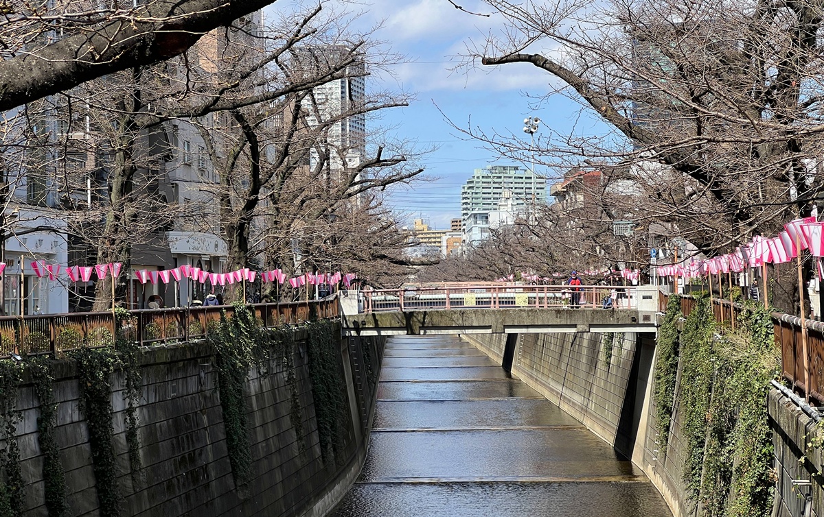 用一顆飯糰的高級感，再次喜歡上靜巷裡的恬淡生活｜東京中目黑飯糰專賣店 Onigily Cafe Nakameguro Shop與600日圓朝食飯糰套餐 @。CJ夫人。