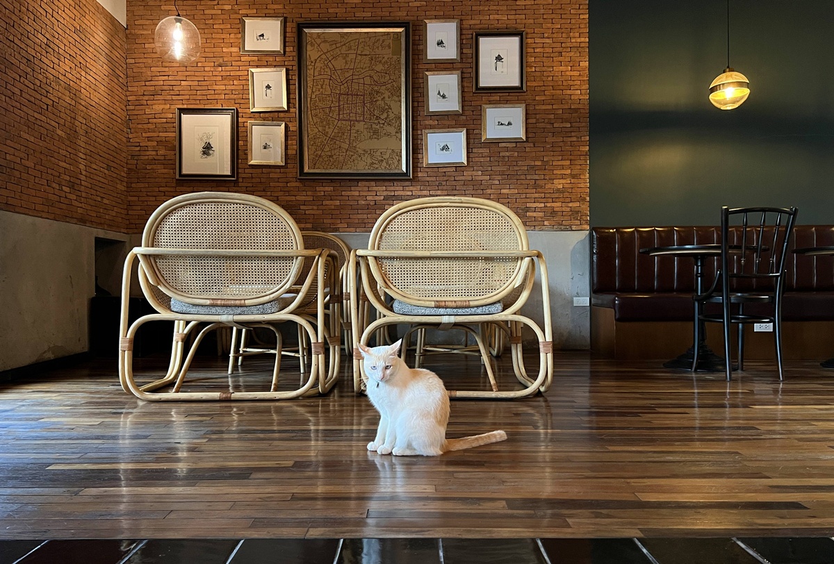 清邁老城裡的背包客棧卻像私人劇院，蘭納 × 殖民風格，低調優雅一晚只要台幣345元｜泰國清邁背包客棧住宿推薦 Khunluang Hostel @。CJ夫人。