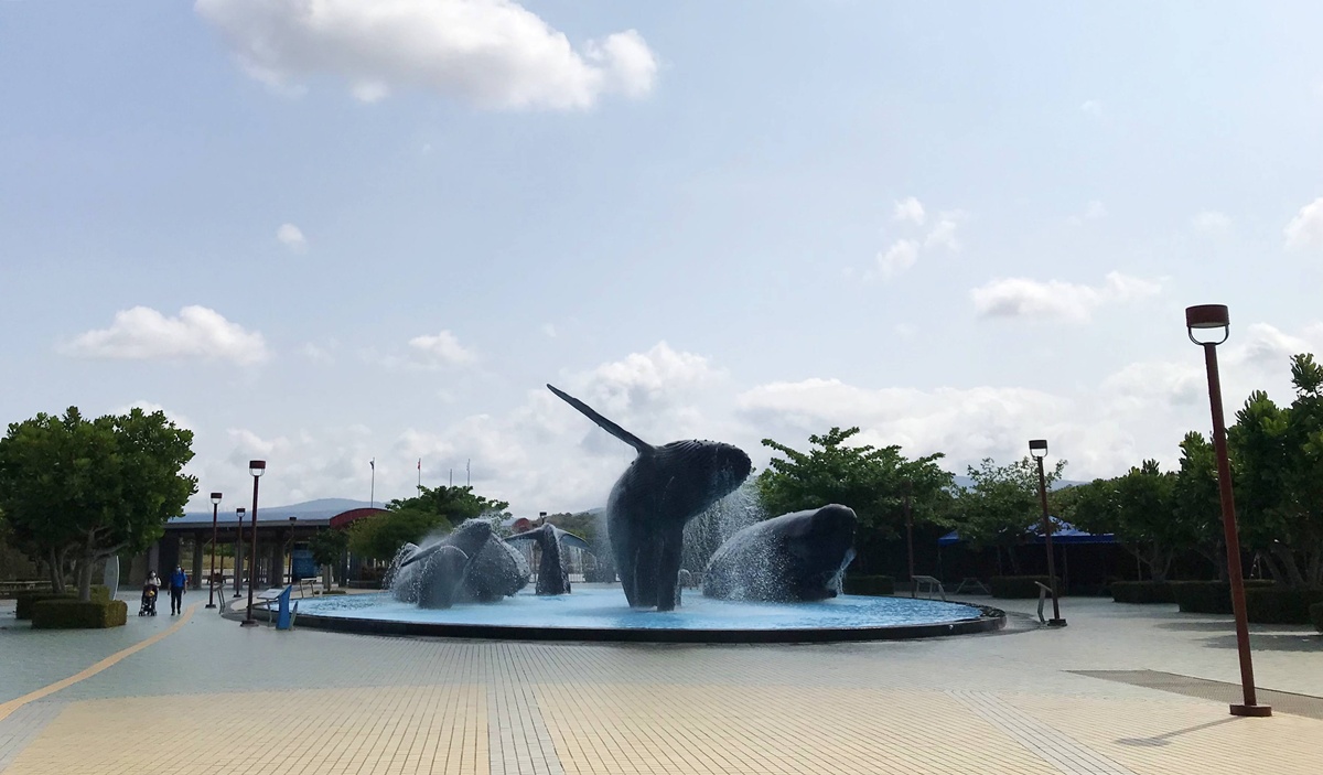 不只是放在海邊的水族館!覽盡台灣珊瑚王國與世界珊瑚群縮影,聽聽海洋想跟我們說的事|屏東墾丁國立海洋生物博物館 @。CJ夫人。 不只是放在海邊的水族館!覽盡台灣珊瑚王國與世界珊瑚群縮影,聽聽海洋想跟我們說的事|屏東墾丁國立海洋生物博物館 @。CJ夫人。