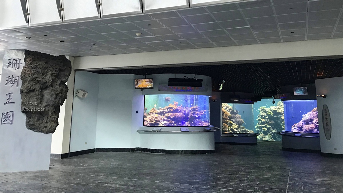 不只是放在海邊的水族館!覽盡台灣珊瑚王國與世界珊瑚群縮影,聽聽海洋想跟我們說的事|屏東墾丁國立海洋生物博物館 @。CJ夫人。 不只是放在海邊的水族館!覽盡台灣珊瑚王國與世界珊瑚群縮影,聽聽海洋想跟我們說的事|屏東墾丁國立海洋生物博物館 @。CJ夫人。