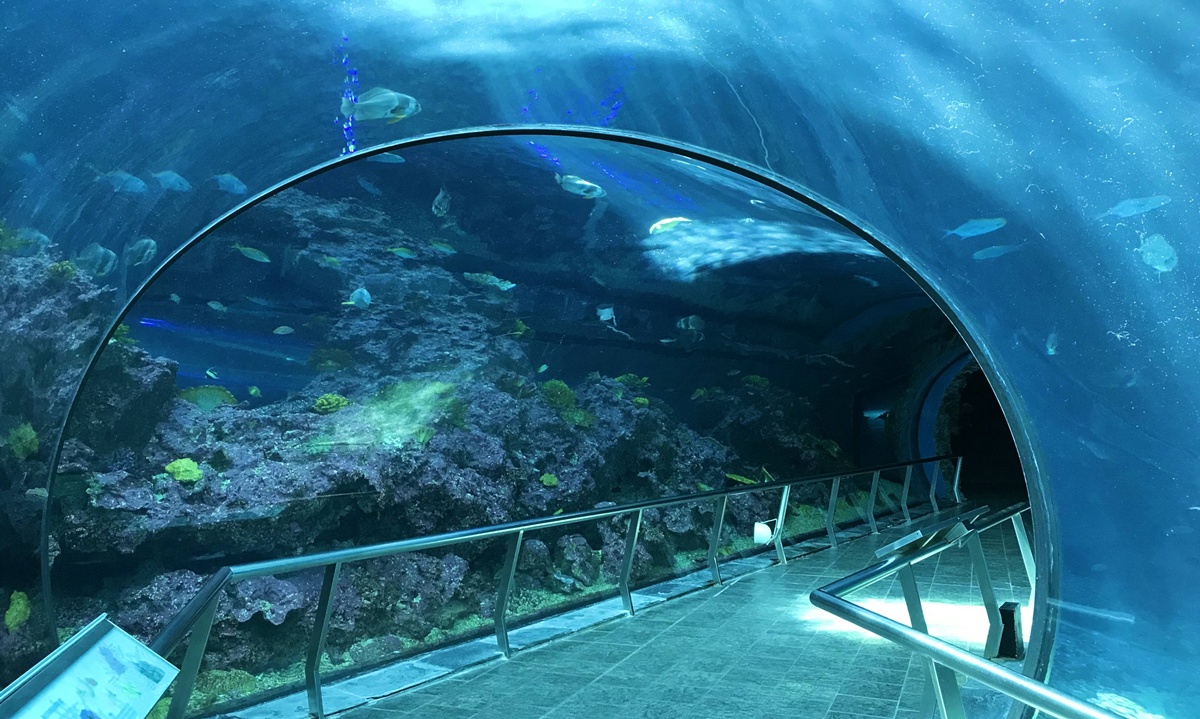 不只是放在海邊的水族館!覽盡台灣珊瑚王國與世界珊瑚群縮影,聽聽海洋想跟我們說的事|屏東墾丁國立海洋生物博物館 @。CJ夫人。 不只是放在海邊的水族館!覽盡台灣珊瑚王國與世界珊瑚群縮影,聽聽海洋想跟我們說的事|屏東墾丁國立海洋生物博物館 @。CJ夫人。