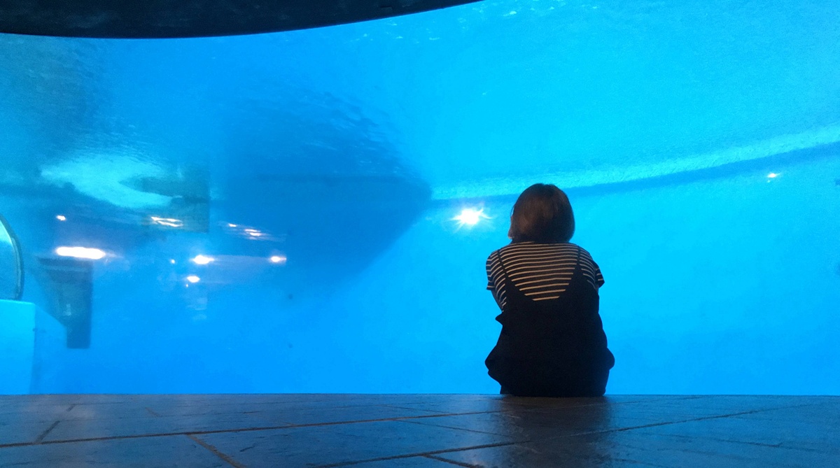 不只是放在海邊的水族館!覽盡台灣珊瑚王國與世界珊瑚群縮影,聽聽海洋想跟我們說的事|屏東墾丁國立海洋生物博物館 @。CJ夫人。 不只是放在海邊的水族館!覽盡台灣珊瑚王國與世界珊瑚群縮影,聽聽海洋想跟我們說的事|屏東墾丁國立海洋生物博物館 @。CJ夫人。