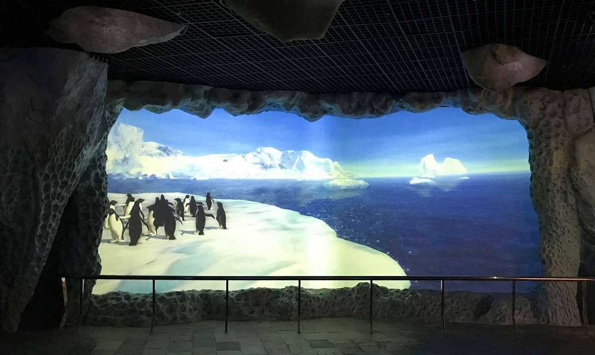 不只是放在海邊的水族館！覽盡台灣珊瑚王國與世界珊瑚群縮影，聽聽海洋想跟我們說的事｜屏東墾丁國立海洋生物博物館 @。CJ夫人。