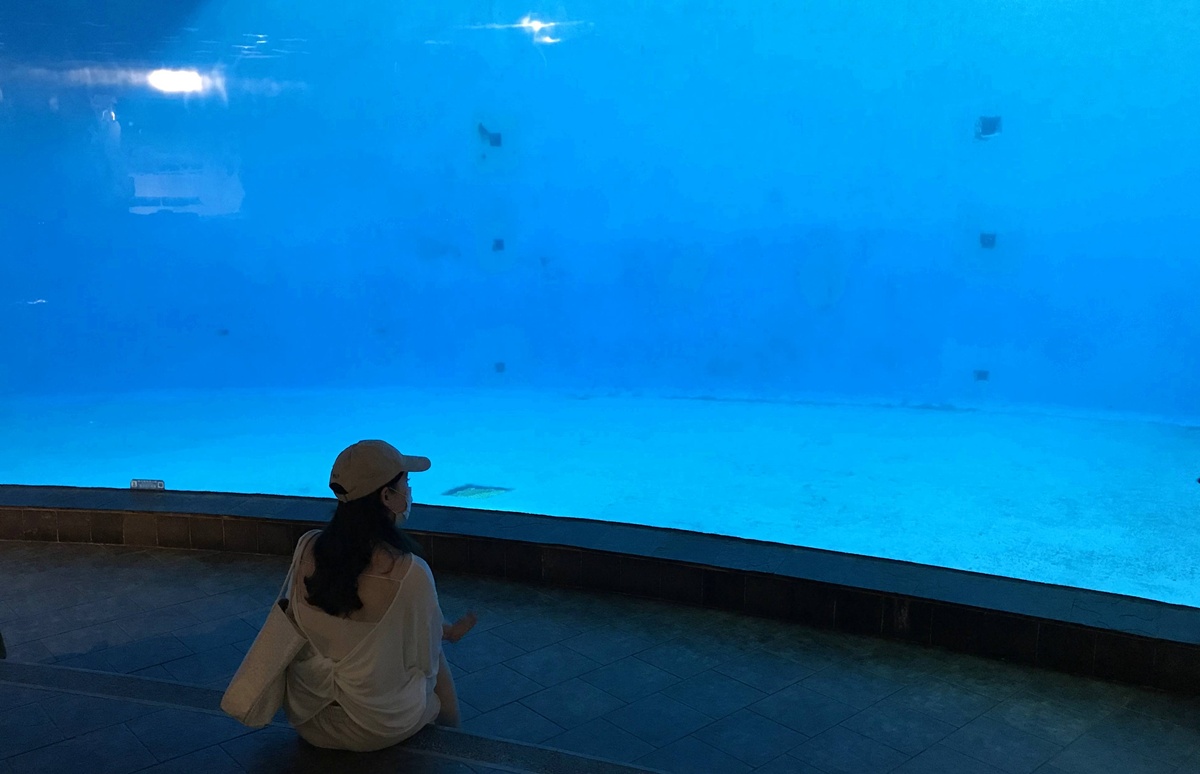 不只是放在海邊的水族館!覽盡台灣珊瑚王國與世界珊瑚群縮影,聽聽海洋想跟我們說的事|屏東墾丁國立海洋生物博物館 @。CJ夫人。 不只是放在海邊的水族館!覽盡台灣珊瑚王國與世界珊瑚群縮影,聽聽海洋想跟我們說的事|屏東墾丁國立海洋生物博物館 @。CJ夫人。