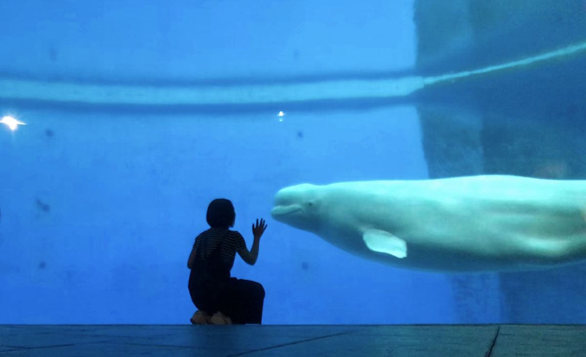 不只是放在海邊的水族館!覽盡台灣珊瑚王國與世界珊瑚群縮影,聽聽海洋想跟我們說的事|屏東墾丁國立海洋生物博物館 @。CJ夫人。 不只是放在海邊的水族館!覽盡台灣珊瑚王國與世界珊瑚群縮影,聽聽海洋想跟我們說的事|屏東墾丁國立海洋生物博物館 @。CJ夫人。