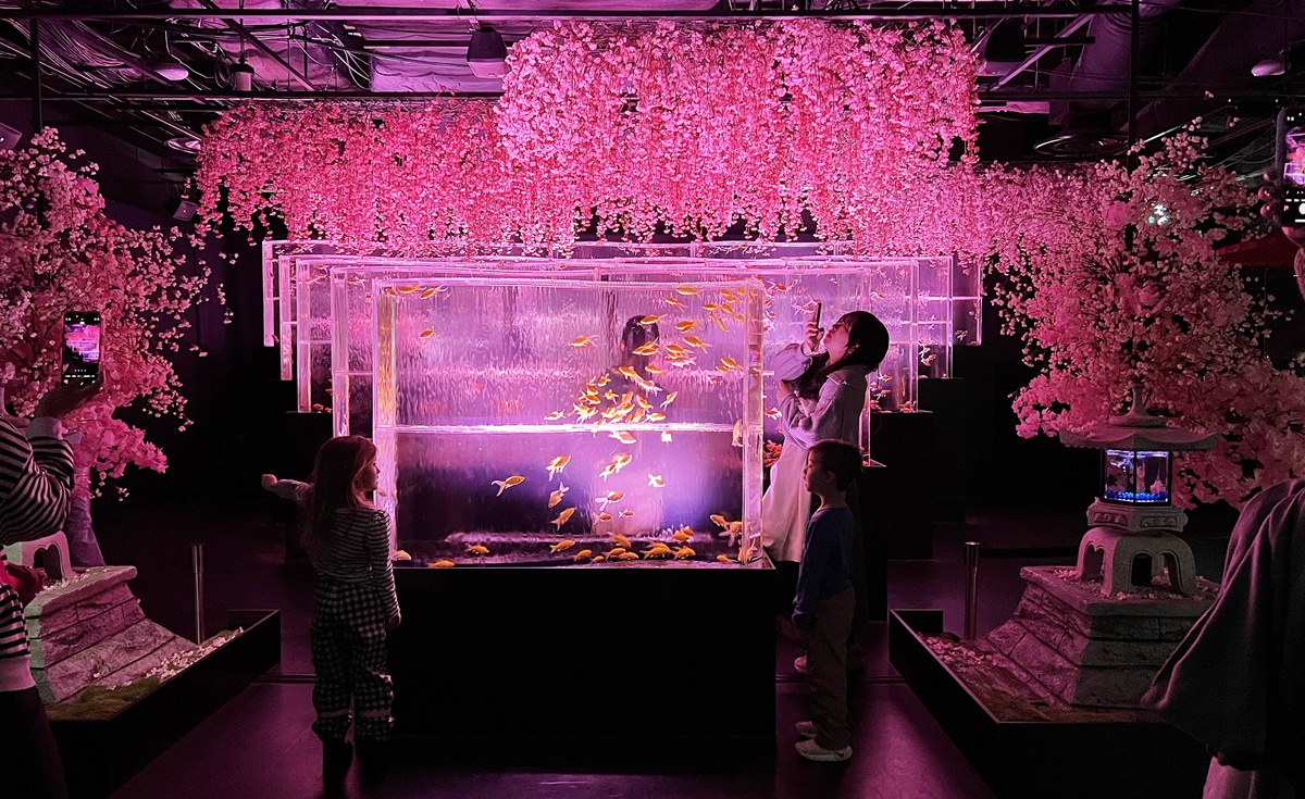 介於夢境與現實之間的場所！這是東京銀座獻給世界一場風雅藝術的劇｜日本東京室內自由行推薦 銀座金魚藝術水族館 Art Aquarium Museum GINZA @。CJ夫人。