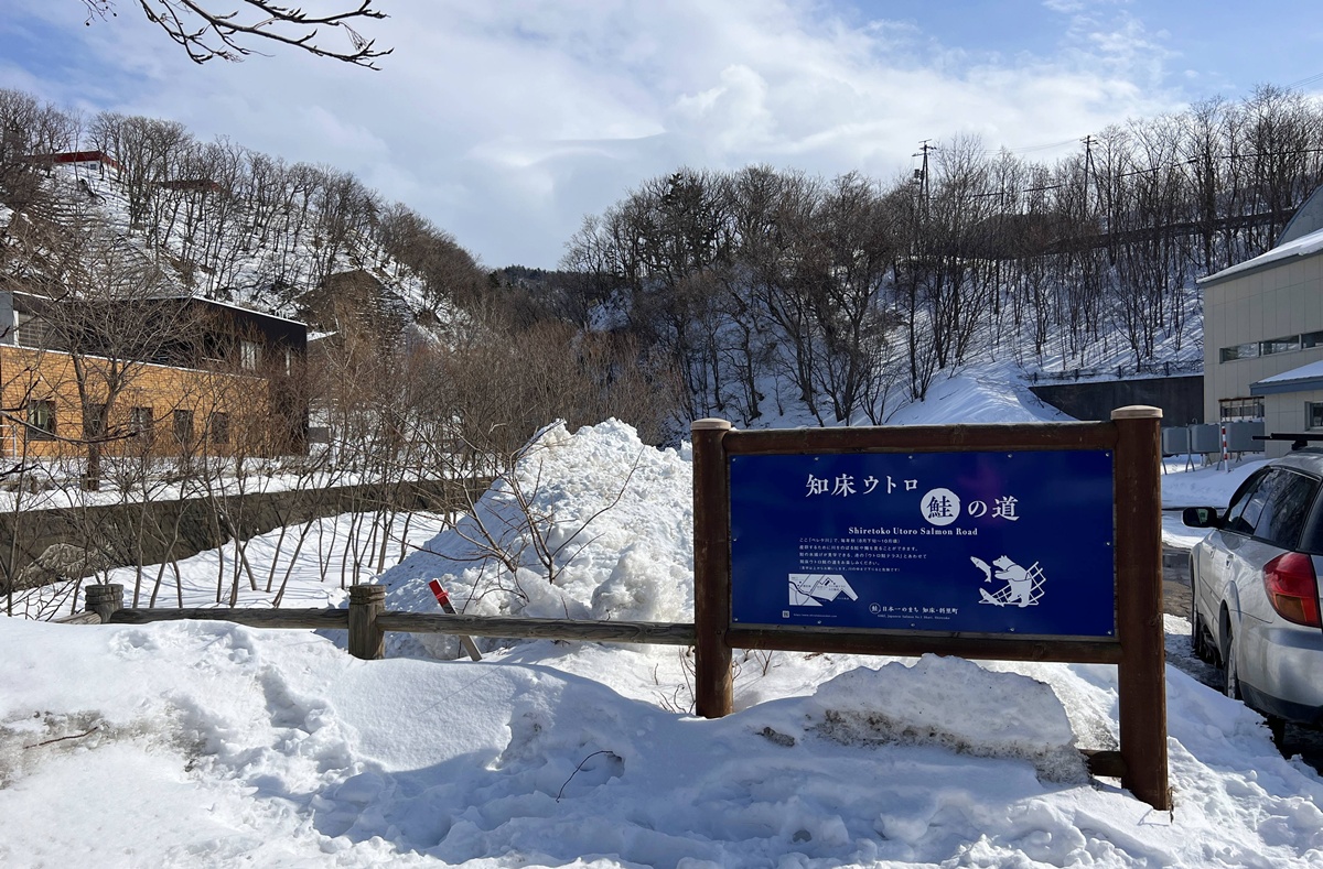 當世界盡頭成為眼前景象！7種讓人愛上北海道知床半島的極地極寒玩法：雪地健行、流冰漫步、北國美食、溫泉到星空觀測 @。CJ夫人。
