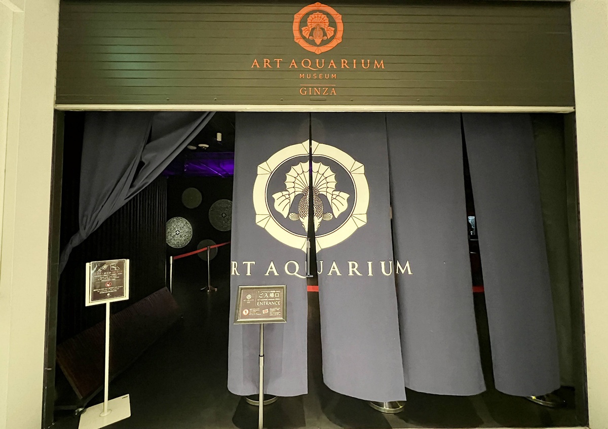 介於夢境與現實之間的場所!這是東京銀座獻給世界一場風雅藝術的劇|日本東京室內自由行推薦 銀座金魚藝術水族館 Art Aquarium Museum GINZA @。CJ夫人。 介於夢境與現實之間的場所!這是東京銀座獻給世界一場風雅藝術的劇|日本東京室內自由行推薦 銀座金魚藝術水族館 Art Aquarium Museum GINZA @。CJ夫人。