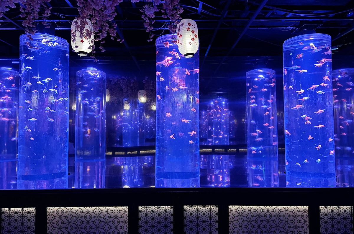 介於夢境與現實之間的場所!這是東京銀座獻給世界一場風雅藝術的劇|日本東京室內自由行推薦 銀座金魚藝術水族館 Art Aquarium Museum GINZA @。CJ夫人。 介於夢境與現實之間的場所!這是東京銀座獻給世界一場風雅藝術的劇|日本東京室內自由行推薦 銀座金魚藝術水族館 Art Aquarium Museum GINZA @。CJ夫人。