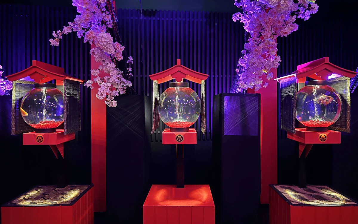 介於夢境與現實之間的場所!這是東京銀座獻給世界一場風雅藝術的劇|日本東京室內自由行推薦 銀座金魚藝術水族館 Art Aquarium Museum GINZA @。CJ夫人。 介於夢境與現實之間的場所!這是東京銀座獻給世界一場風雅藝術的劇|日本東京室內自由行推薦 銀座金魚藝術水族館 Art Aquarium Museum GINZA @。CJ夫人。