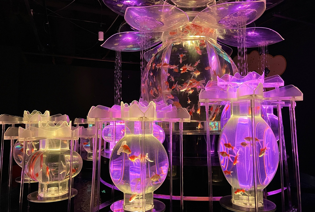 介於夢境與現實之間的場所!這是東京銀座獻給世界一場風雅藝術的劇|日本東京室內自由行推薦 銀座金魚藝術水族館 Art Aquarium Museum GINZA @。CJ夫人。 介於夢境與現實之間的場所!這是東京銀座獻給世界一場風雅藝術的劇|日本東京室內自由行推薦 銀座金魚藝術水族館 Art Aquarium Museum GINZA @。CJ夫人。