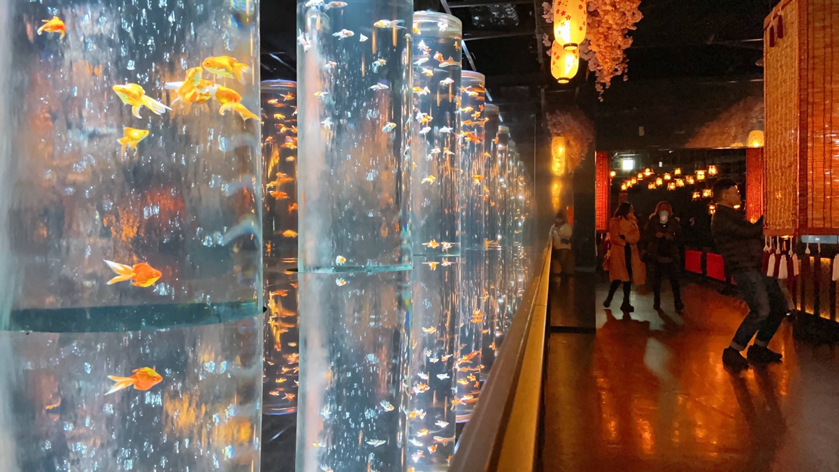 介於夢境與現實之間的場所!這是東京銀座獻給世界一場風雅藝術的劇|日本東京室內自由行推薦 銀座金魚藝術水族館 Art Aquarium Museum GINZA @。CJ夫人。 介於夢境與現實之間的場所!這是東京銀座獻給世界一場風雅藝術的劇|日本東京室內自由行推薦 銀座金魚藝術水族館 Art Aquarium Museum GINZA @。CJ夫人。