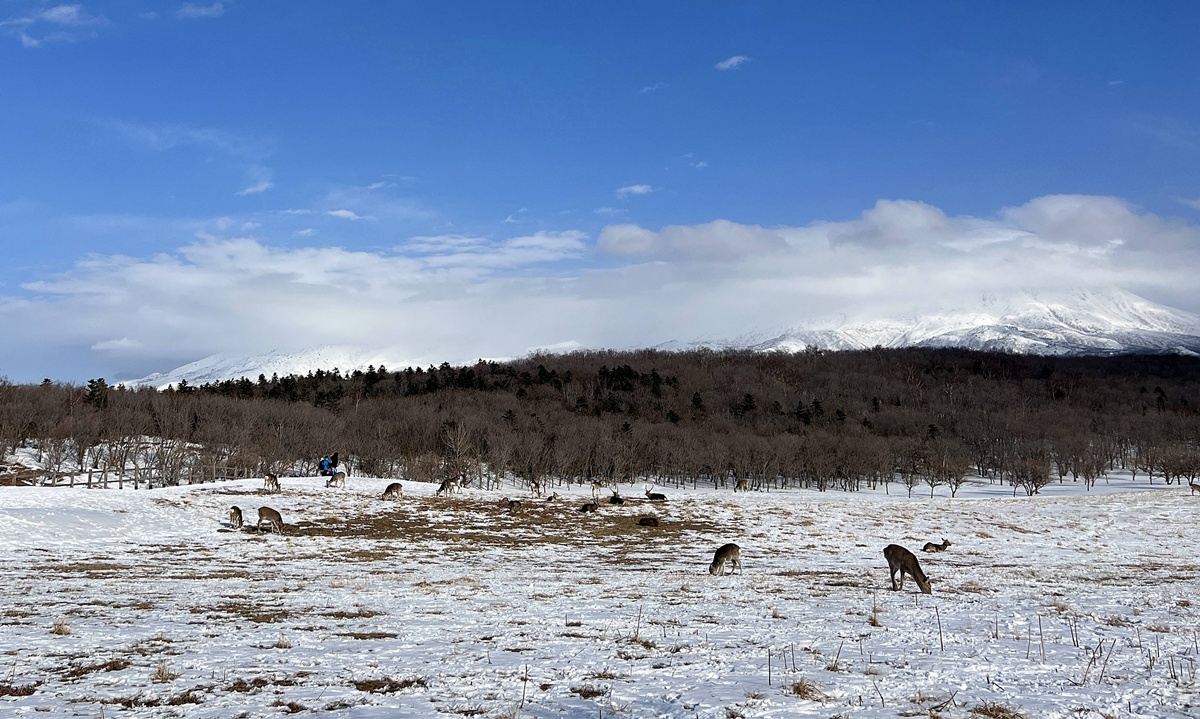 當世界盡頭成為眼前景象！7種讓人愛上北海道知床半島的極地極寒玩法：雪地健行、流冰漫步、北國美食、溫泉到星空觀測 @。CJ夫人。