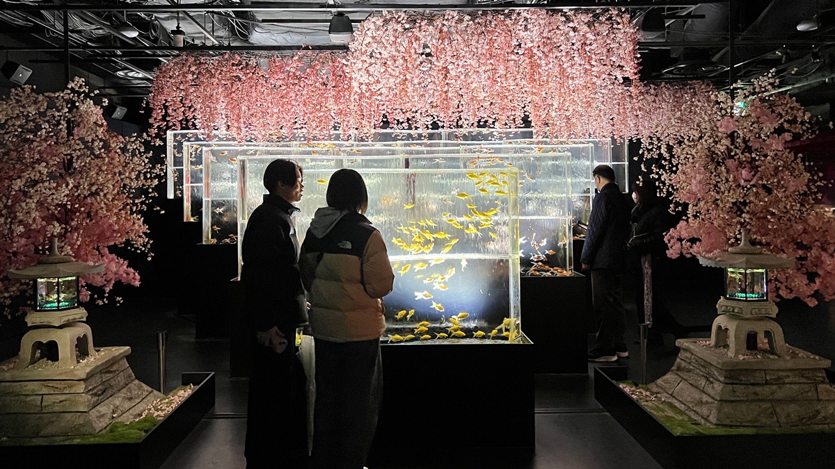 介於夢境與現實之間的場所!這是東京銀座獻給世界一場風雅藝術的劇|日本東京室內自由行推薦 銀座金魚藝術水族館 Art Aquarium Museum GINZA @。CJ夫人。 介於夢境與現實之間的場所!這是東京銀座獻給世界一場風雅藝術的劇|日本東京室內自由行推薦 銀座金魚藝術水族館 Art Aquarium Museum GINZA @。CJ夫人。