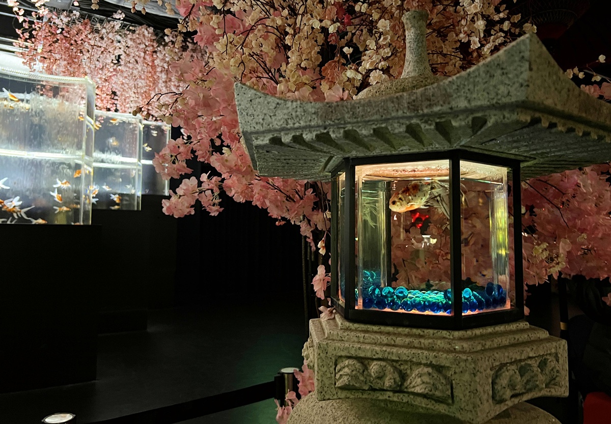 介於夢境與現實之間的場所!這是東京銀座獻給世界一場風雅藝術的劇|日本東京室內自由行推薦 銀座金魚藝術水族館 Art Aquarium Museum GINZA @。CJ夫人。 介於夢境與現實之間的場所!這是東京銀座獻給世界一場風雅藝術的劇|日本東京室內自由行推薦 銀座金魚藝術水族館 Art Aquarium Museum GINZA @。CJ夫人。