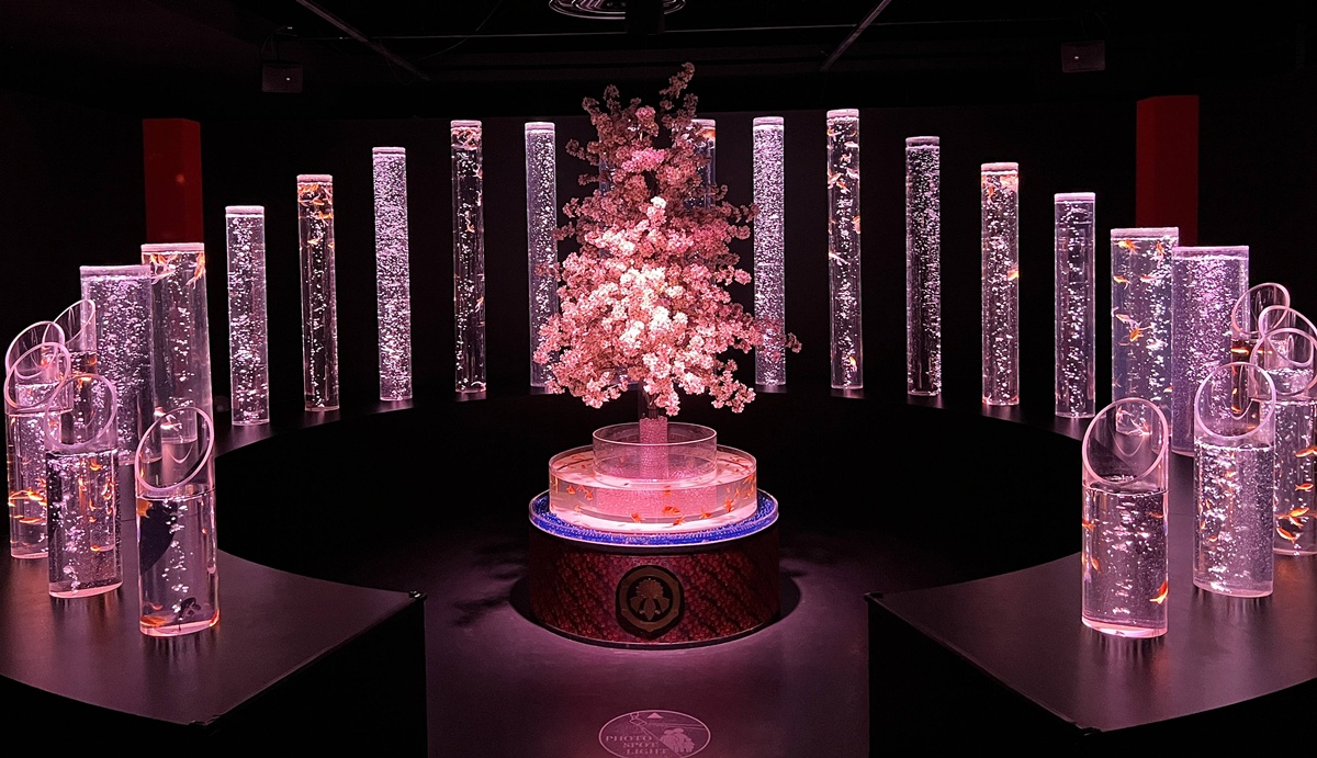 介於夢境與現實之間的場所!這是東京銀座獻給世界一場風雅藝術的劇|日本東京室內自由行推薦 銀座金魚藝術水族館 Art Aquarium Museum GINZA @。CJ夫人。 介於夢境與現實之間的場所!這是東京銀座獻給世界一場風雅藝術的劇|日本東京室內自由行推薦 銀座金魚藝術水族館 Art Aquarium Museum GINZA @。CJ夫人。