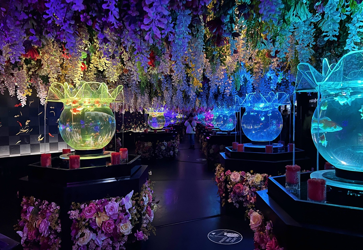 介於夢境與現實之間的場所!這是東京銀座獻給世界一場風雅藝術的劇|日本東京室內自由行推薦 銀座金魚藝術水族館 Art Aquarium Museum GINZA @。CJ夫人。 介於夢境與現實之間的場所!這是東京銀座獻給世界一場風雅藝術的劇|日本東京室內自由行推薦 銀座金魚藝術水族館 Art Aquarium Museum GINZA @。CJ夫人。