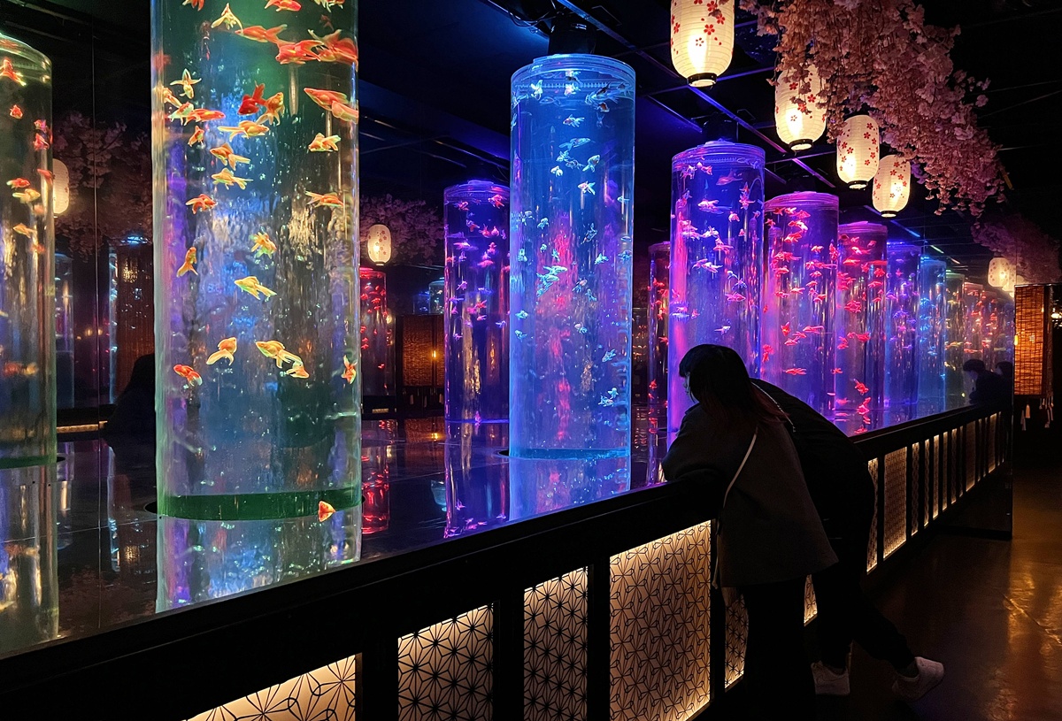 介於夢境與現實之間的場所!這是東京銀座獻給世界一場風雅藝術的劇|日本東京室內自由行推薦 銀座金魚藝術水族館 Art Aquarium Museum GINZA @。CJ夫人。 介於夢境與現實之間的場所!這是東京銀座獻給世界一場風雅藝術的劇|日本東京室內自由行推薦 銀座金魚藝術水族館 Art Aquarium Museum GINZA @。CJ夫人。