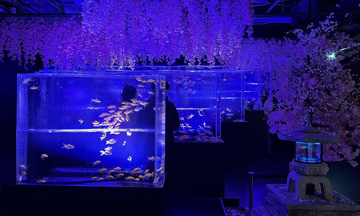 介於夢境與現實之間的場所!這是東京銀座獻給世界一場風雅藝術的劇|日本東京室內自由行推薦 銀座金魚藝術水族館 Art Aquarium Museum GINZA @。CJ夫人。 介於夢境與現實之間的場所!這是東京銀座獻給世界一場風雅藝術的劇|日本東京室內自由行推薦 銀座金魚藝術水族館 Art Aquarium Museum GINZA @。CJ夫人。