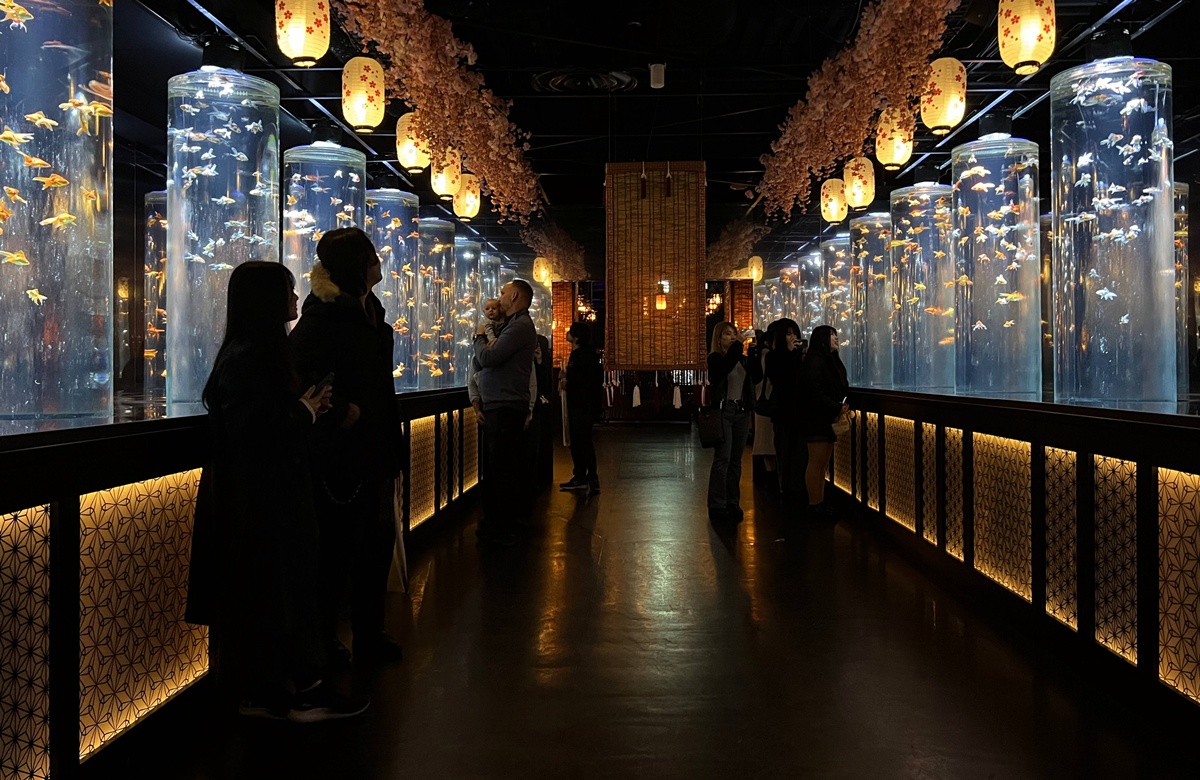 介於夢境與現實之間的場所！這是東京銀座獻給世界一場風雅藝術的劇｜日本東京室內自由行推薦 銀座金魚藝術水族館 Art Aquarium Museum GINZA @。CJ夫人。
