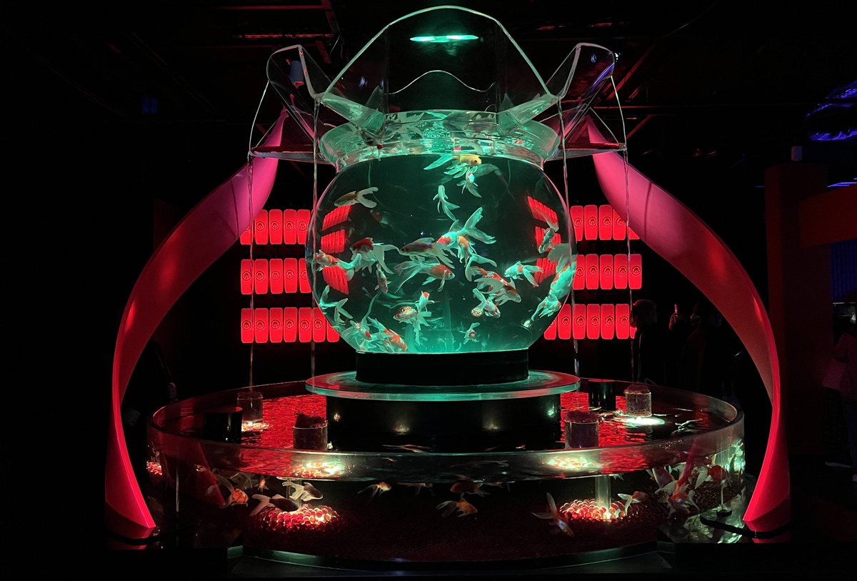 介於夢境與現實之間的場所!這是東京銀座獻給世界一場風雅藝術的劇|日本東京室內自由行推薦 銀座金魚藝術水族館 Art Aquarium Museum GINZA @。CJ夫人。 介於夢境與現實之間的場所!這是東京銀座獻給世界一場風雅藝術的劇|日本東京室內自由行推薦 銀座金魚藝術水族館 Art Aquarium Museum GINZA @。CJ夫人。