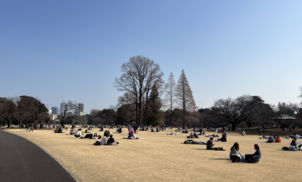當皇家日常成為市民生活雅集！不是觀光打卡，是周末生活，一同走進東京人共享的皇家園林｜新宿御苑的春日賞櫻散步紀行 @。CJ夫人。