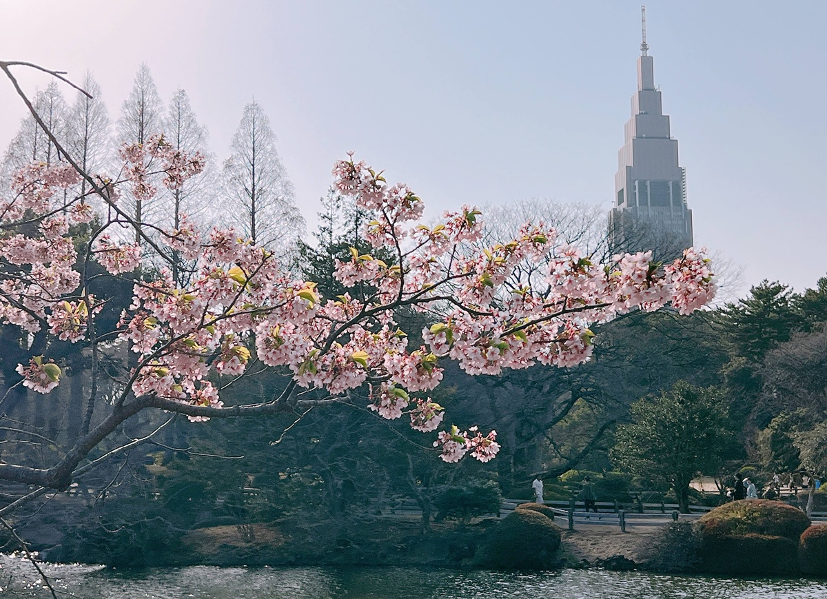 網站近期文章:當皇家日常成為市民生活雅集!不是觀光打卡,是周末生活,一同走進東京人共享的皇家園林|新宿御苑的春日賞櫻散步紀行 規畫一趟自助滑雪行程應該注意的事-滑雪禮儀與滑雪場潛規則篇 @。CJ夫人。