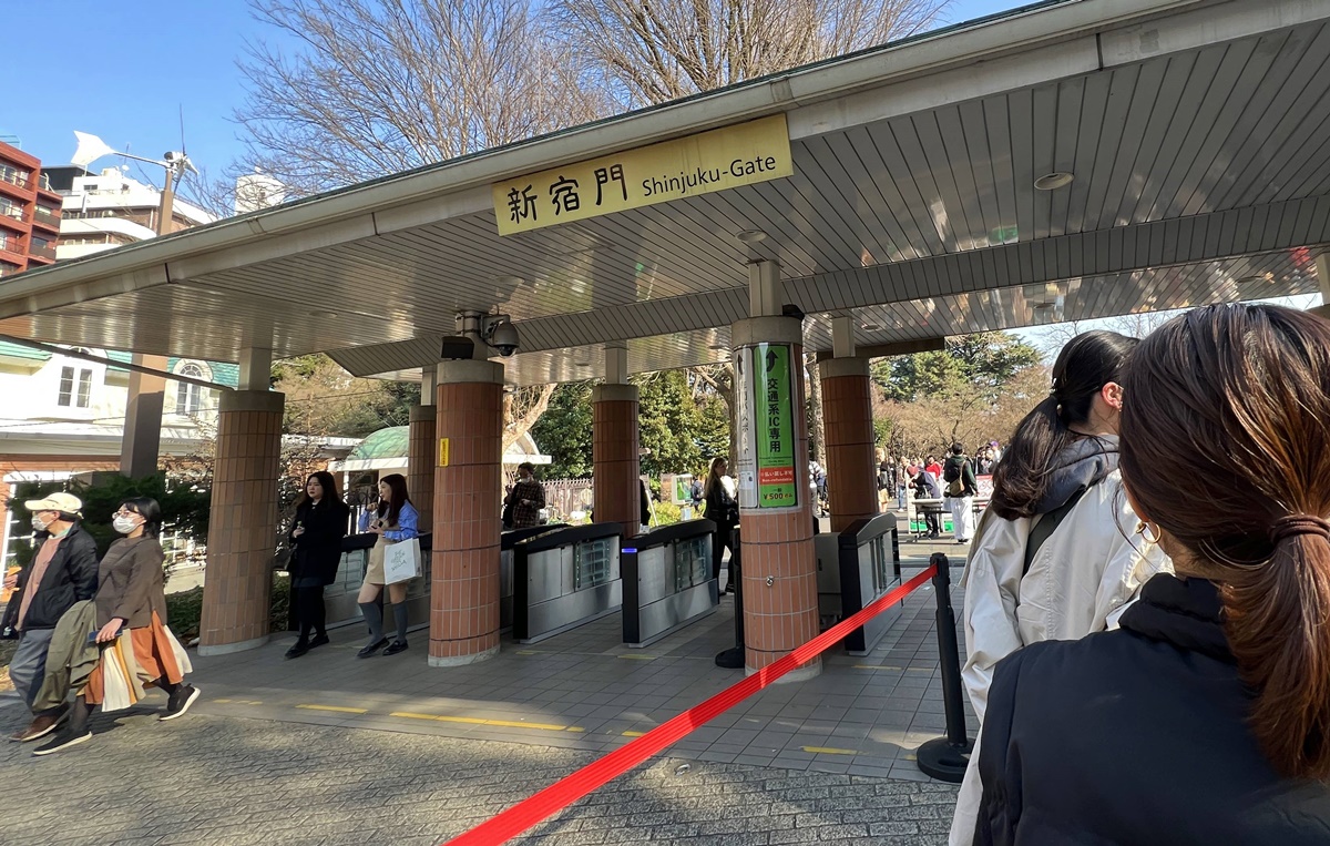 當皇家日常成為市民生活雅集！不是觀光打卡，是周末生活，一同走進東京人共享的皇家園林｜新宿御苑的春日賞櫻散步紀行 @。CJ夫人。